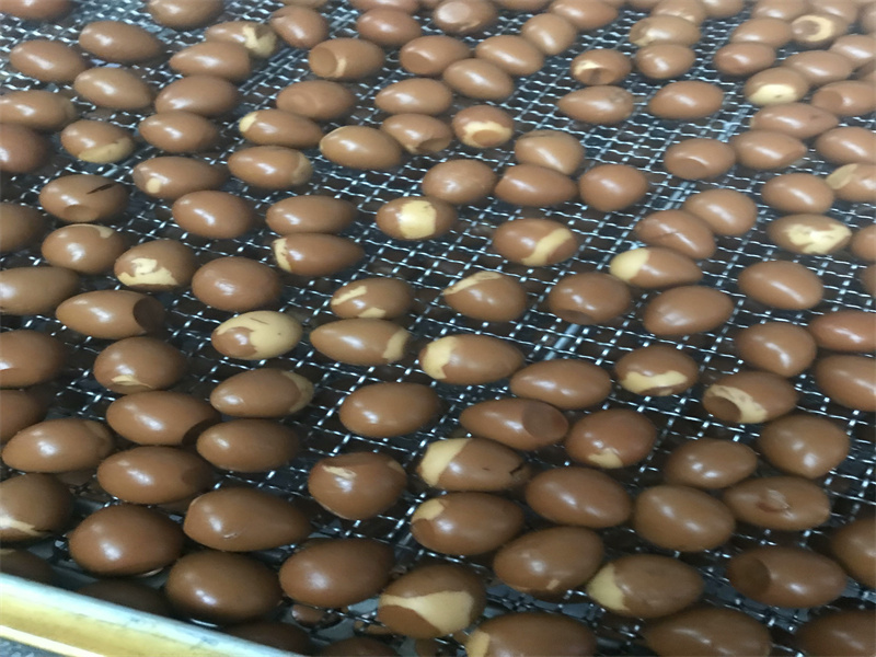 不銹鋼烘干網盤