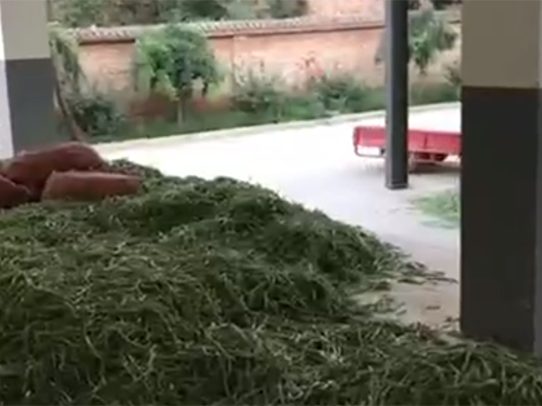 清洗漂燙機(jī)