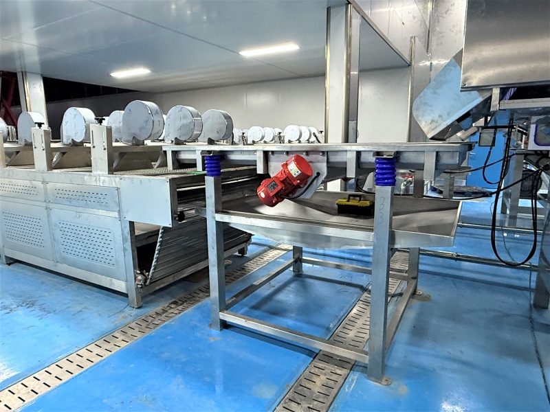 棗莊兩套包裝清洗風干流水線