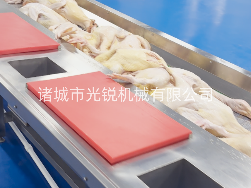 凍鴨加工不用愁！一站式解凍清洗分割流水線，效率翻倍！