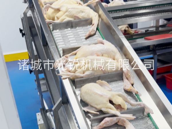 凍鴨加工不用愁！一站式解凍清洗分割流水線，效率翻倍！